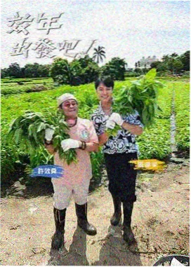 草莓影视-草莓战士